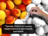 Анализ Рекламной Компании Примере